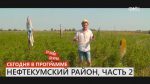 13.10.2016 Нефтекумский район. Часть 2