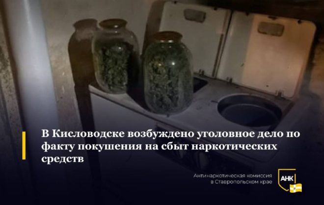 У жителя Кисловодска полицейские нашли дома 350 гр растительных наркотиков