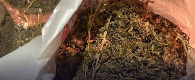 Дома у ставропольца полицейские нашли более 11 кг наркотиков