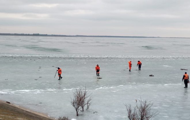 Около 3 тысяч погибших птиц достали из водохранилища на Ставрополье