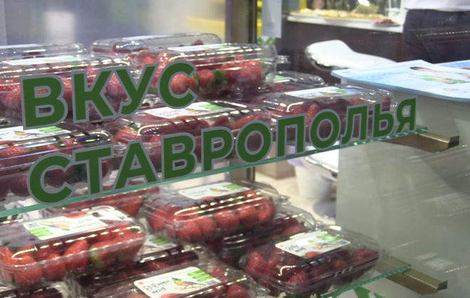 Предприятия Ставрополья презентовали свою продукцию на выставке «ПродЭкспо2023»