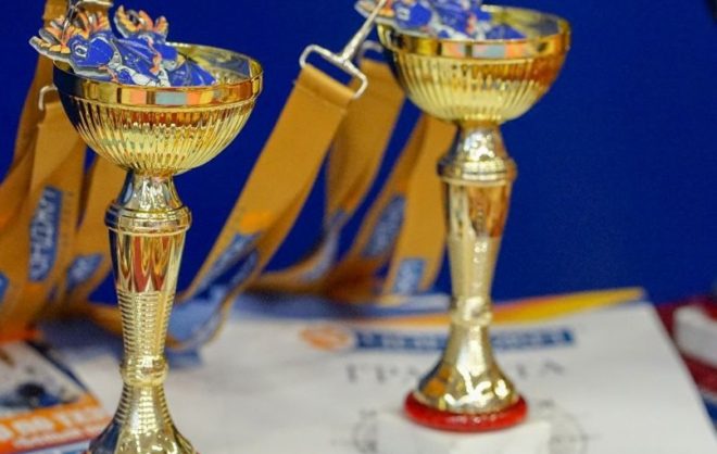 Невинномысские тхэквондисты удачно выступили на чемпионате Ставрополя