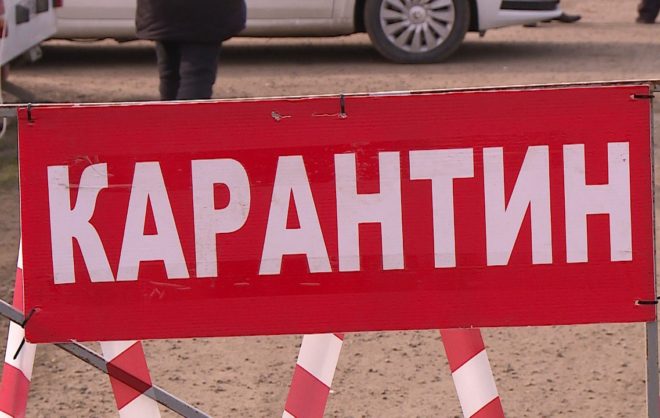 Вокруг хозяйства в Апанасенковском округе ввели карантин из-за гриппа птиц