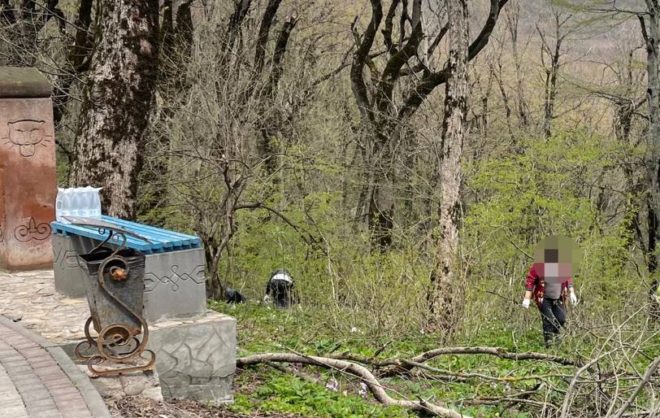 Туристы потерялись в лесу Железноводска в поисках мусора