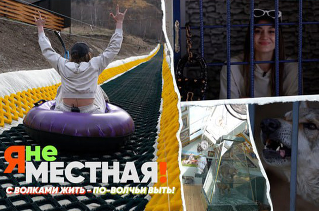 Я не местная. Знакомство с волками