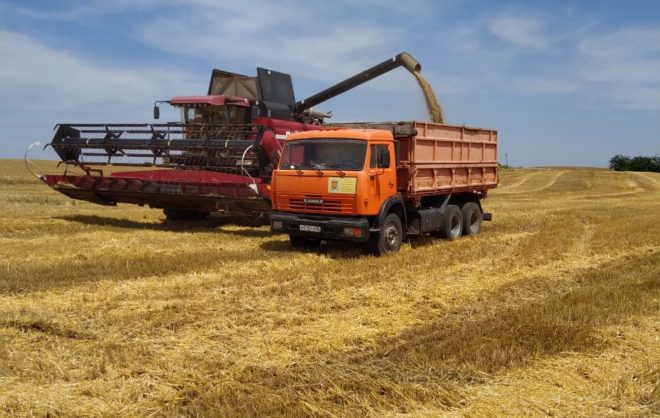 Около 7 тысяч комбайнов задействуют на Ставрополье во время жатвы
