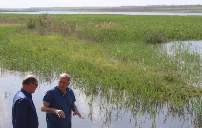 В Туркменском округе 4 водоёма наполнили водой Большого Ставропольского канала