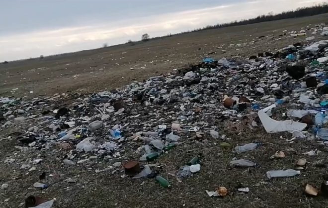 В Курском округе 22 га сельхозземель оказались заражены кишечными бактериями