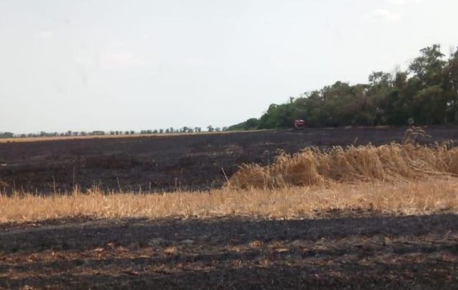 Около 10 га пшеницы сгорело при пожаре на полях Андроповского округа