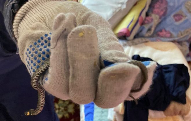 В Красногвардейском округе маленькая змея в доме напугала хозяйку