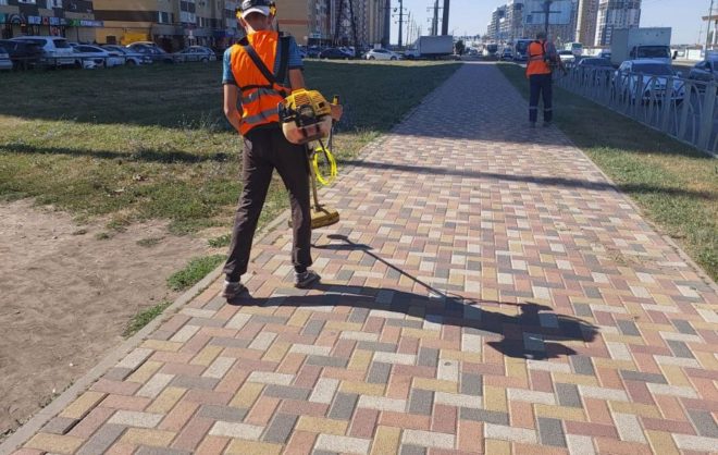 В Ставрополе от амброзии очистили 70 га территорий