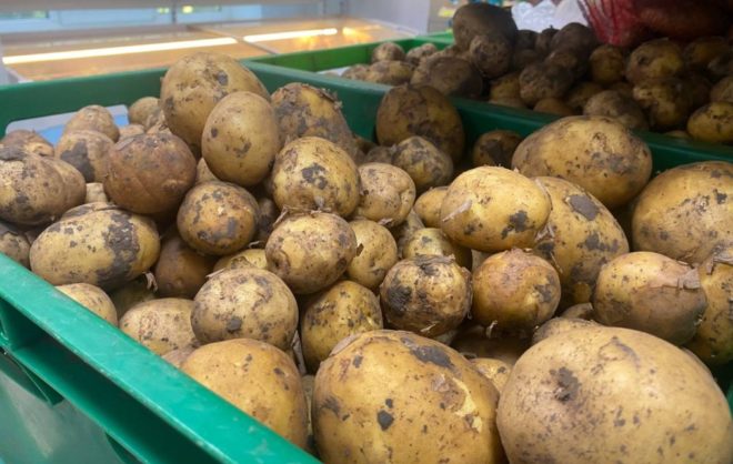 За неделю на Ставрополье подешевели морковь и картофель