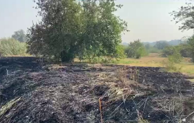 Причину неприятного запаха и дыма нашли в Будённовском округе
