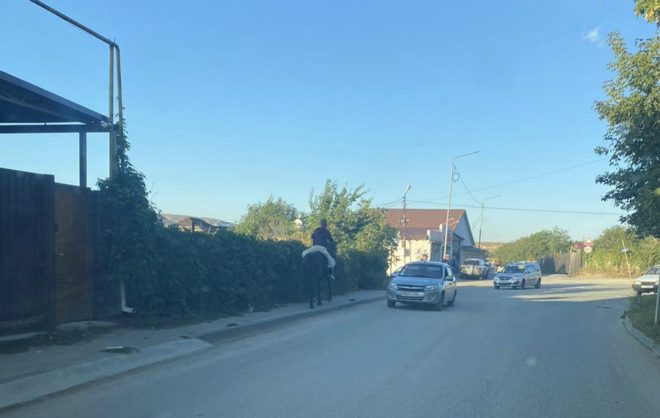 Пьяного наездника на лошади задержали в Кисловодске