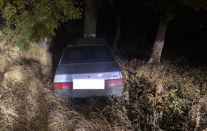 Женщина заснула за рулём и врезалась в дерево в Александровском округе
