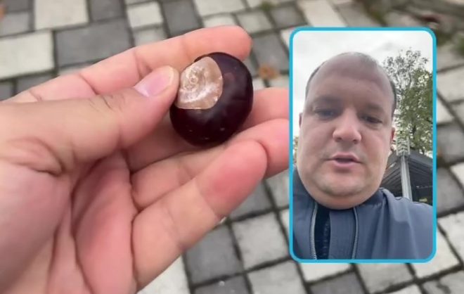 Туристов отговаривают есть конские каштаны в Железноводске