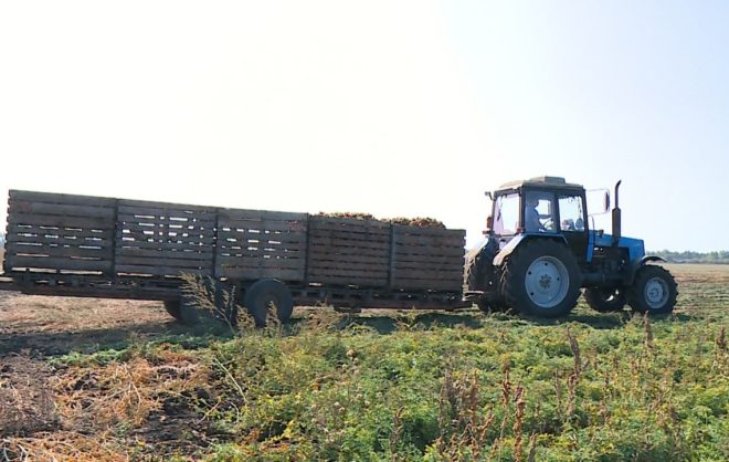 Поставки дизтоплива для аграриев на Ставрополье назвали стабильными