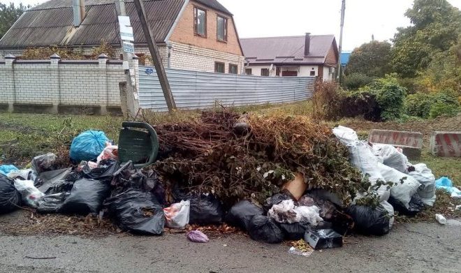 Рекордное количество незаконных свалок обнаружили в Ессентуках