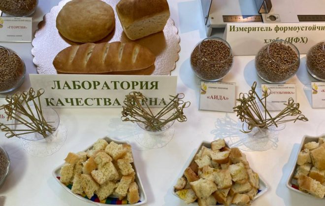 Достижения семеноводства Ставрополья показали омской делегации