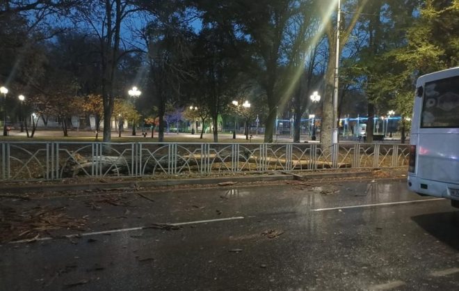 В Невинномысске маршрутка врезалась в упавшее старое дерево