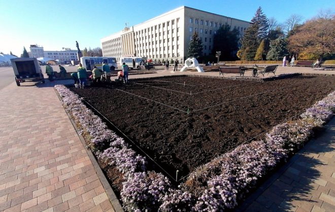 Более 200 тысяч цветов высадили в Ставрополе для зимовки