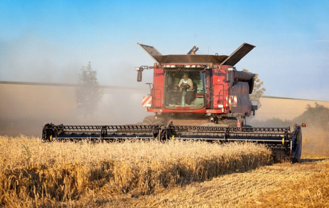 Доля сельского хозяйства в ВРП Ставрополья составляет 13%