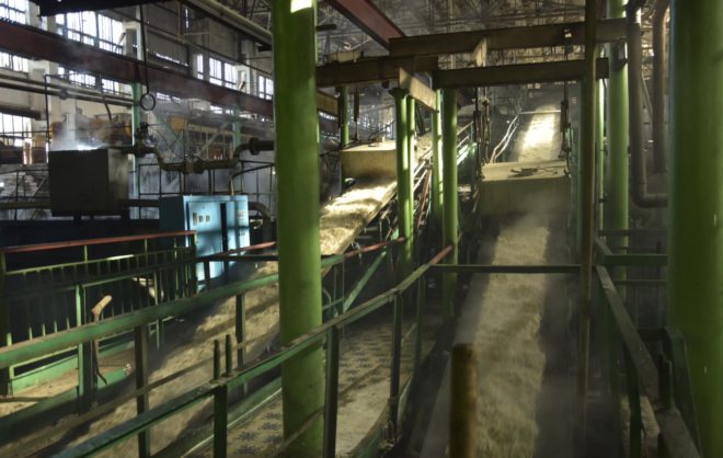 Около 70 тыс тонн сахара планируют получить в Изобильненском округе в 2023 году