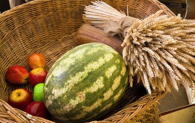 Продуктовую выставку-ярмарку откроют в экспоцентре на Ставрополье