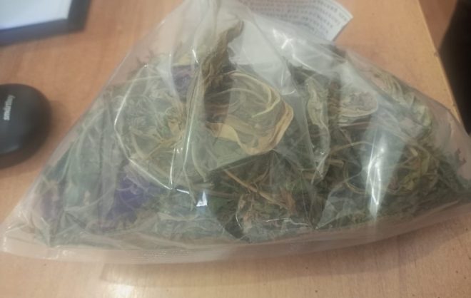 Житель Левокумского округа ответит в суде за незаконную культивацию наркотиков