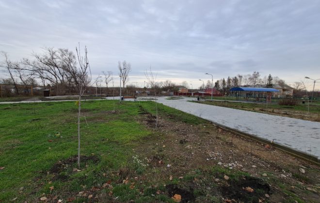 Более 40 деревьев высадили в парке села Новоалександровского округа