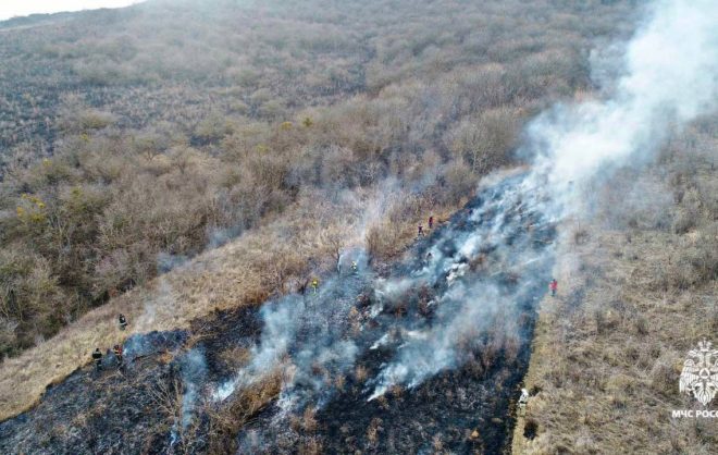 Сухая трава загорелась в Шпаковском округе