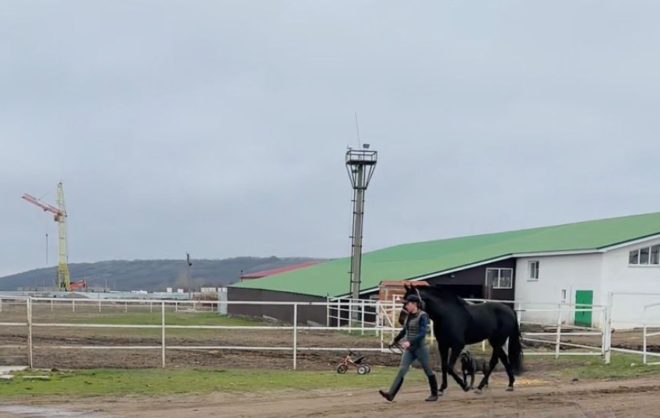 Ремонт конноспортивной школы стартовал в Железноводске