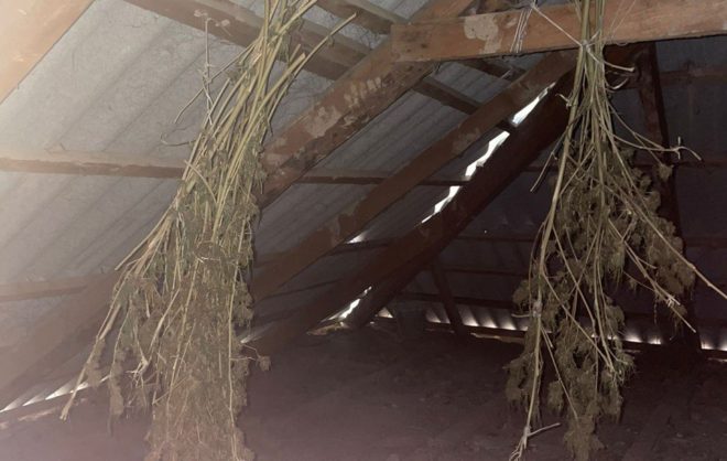 Житель Александровского округа хранил на чердаке более 800 граммов наркотиков