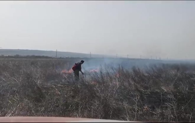 Пожар площадью 5 гектаров остановили в Минераловодском округе
