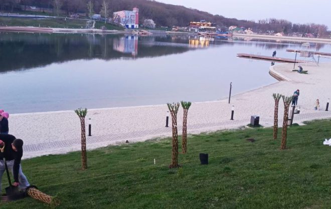 Ивы высадили перед началом купального сезона на Комсомольском пруду в Ставрополе