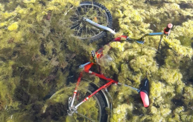 Водолазы очистят городское озеро Железноводска от мусора