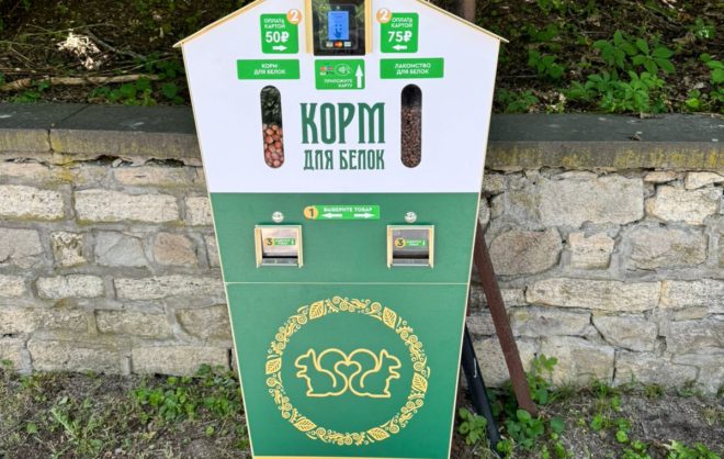 Вендинговые кормушки для белок установили в Железноводске