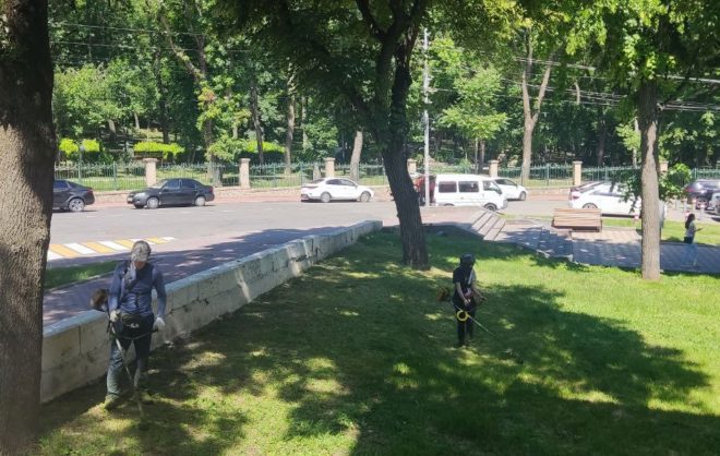 Более 56 га травы выкосили в Ессентуках