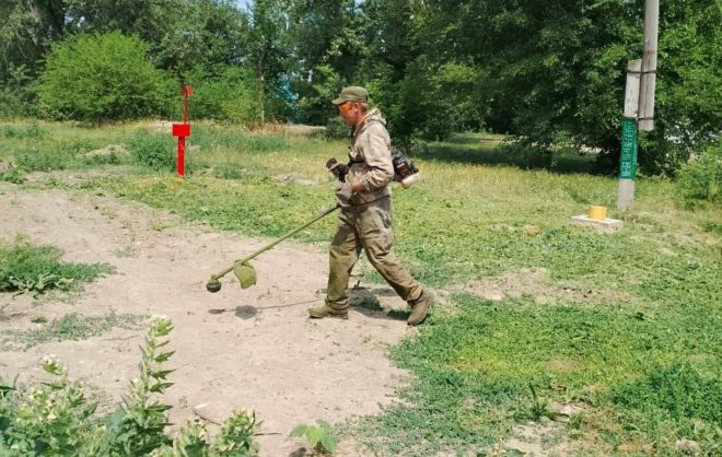 В Кировском округе покос травы и сорняков охватит окраины