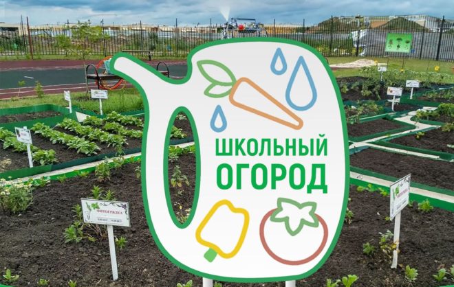 Школьники в Железноводске создадут свой огород