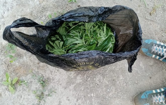 У жителя Изобильненского округа полицейские нашли более 300 гр наркотиков