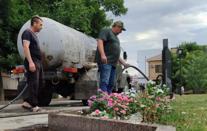 Газоны и клумбы в Будённовском округе стали чаще поливать из-за жары