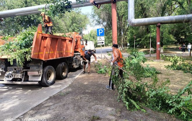 Коммунальщики Невинномысска проводят опиловку деревьев