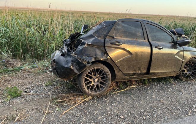 Из-за отбившейся от стада овцы перевернулся автомобиль в Апанасенковском округе