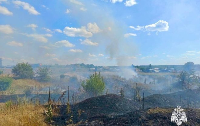 Крупный ландшафтный пожар ликвидировали на площади 1 га в Шпаковском округе