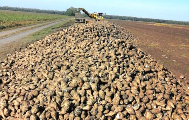 Экспорт сахарной продукции Ставрополья вырос вдвое