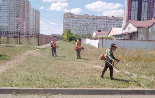 Почти на 85 гектарах в Ставрополе уничтожили амброзию