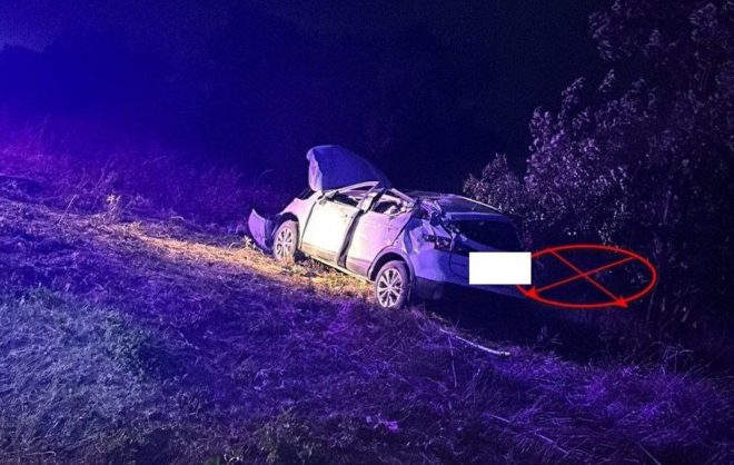 Водитель получил переломы после наезда на дерево в Минераловодском округе