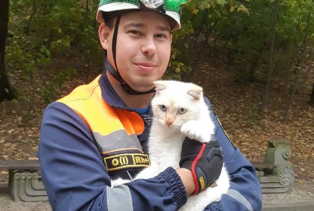 Курортного кота сняли с дерева спасатели в Железноводске