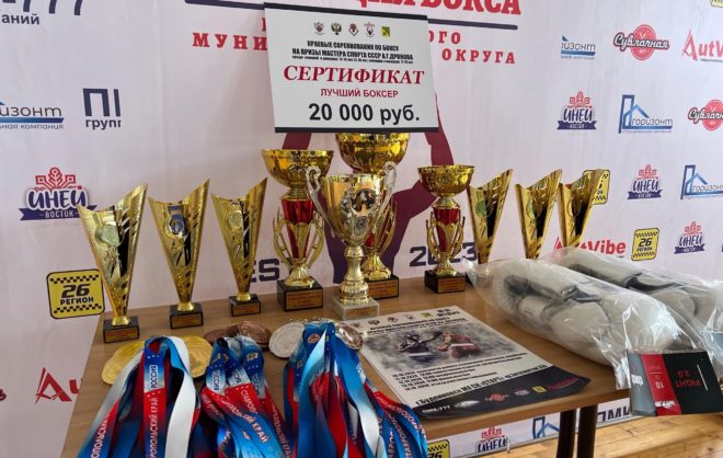 Ставропольские боксёры завоевали 11 наград на первенстве СКФО